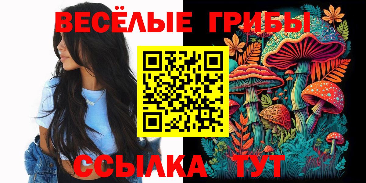 Псилоцибиновые грибы мухоморы Кудрово