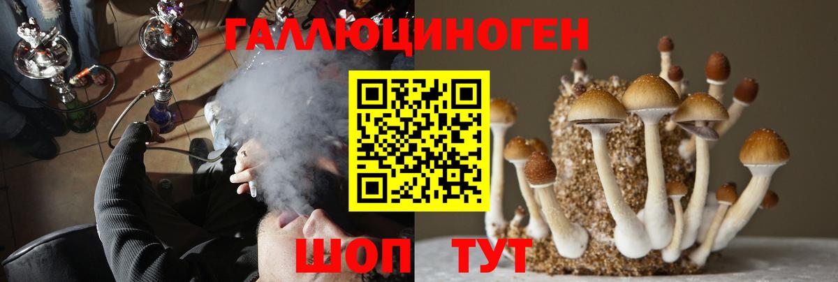 Галлюциногенные грибы мицелий  Вход с VPN  Псилоцибиновые грибы Magic Shrooms  Кудрово 